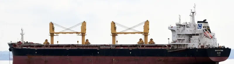 JABAL AR RAWDAH Bulk Carrier IMO 9722041 photo 7