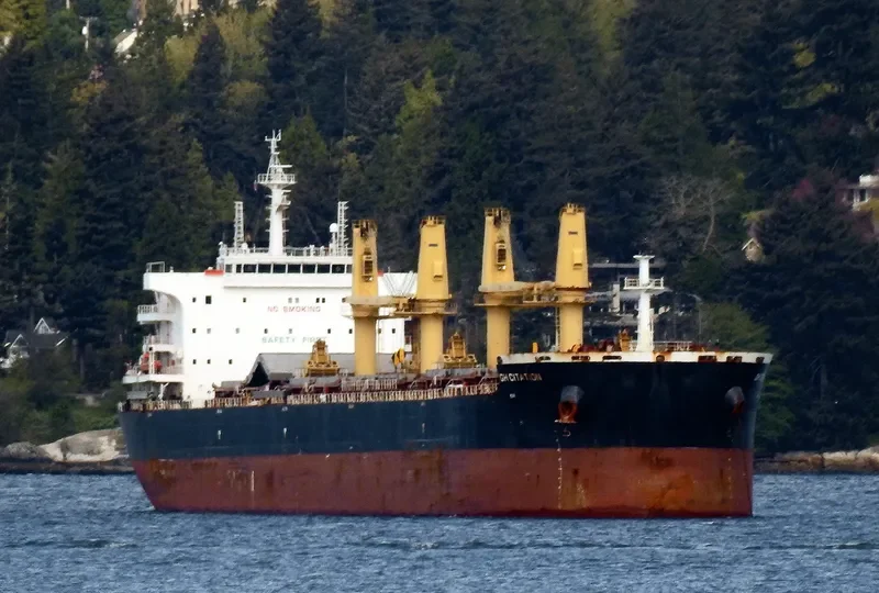 JABAL AR RAWDAH Bulk Carrier IMO 9722041 photo 8