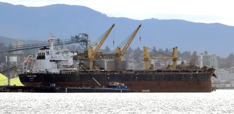 JABAL AR RAWDAH Bulk Carrier IMO 9722041 photo 9