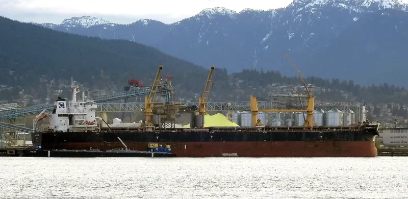 JABAL AR RAWDAH Bulk Carrier IMO 9722041 photo 10