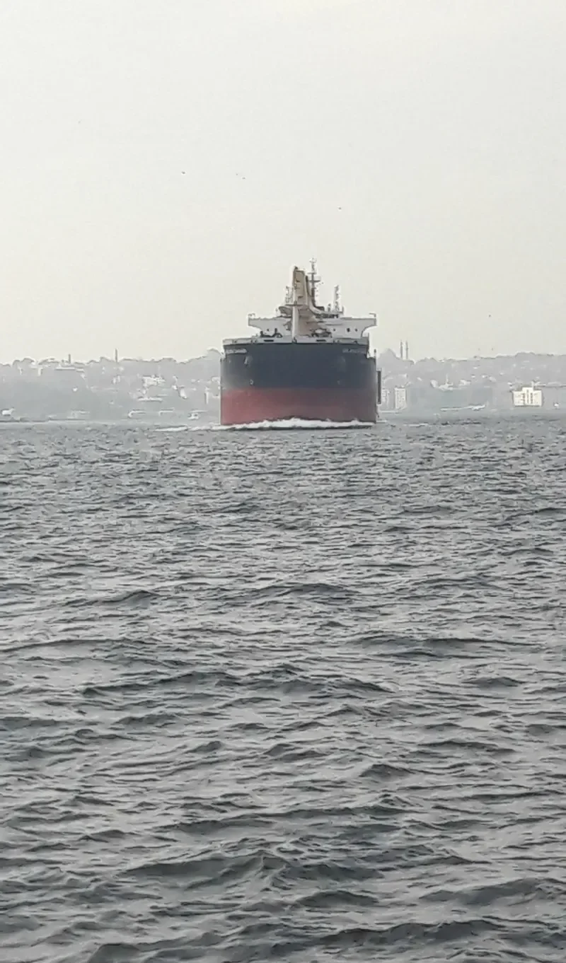 JABAL HARIM Bulk Carrier IMO 9722053