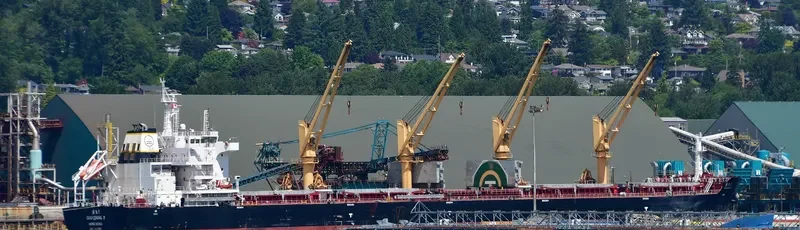 GUO QIANG 8 Bulk Carrier IMO 9722065
