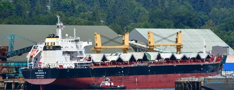 GUO QIANG 8 Bulk Carrier IMO 9722065 photo 2