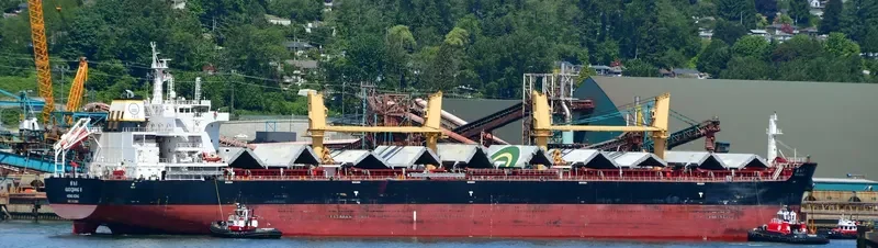 GUO QIANG 8 Bulk Carrier IMO 9722065 photo 3
