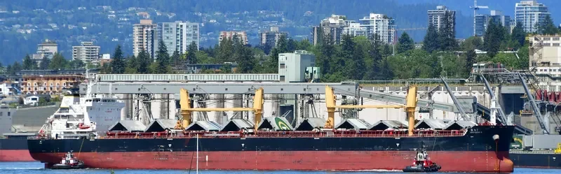 GUO QIANG 8 Bulk Carrier IMO 9722065 photo 4
