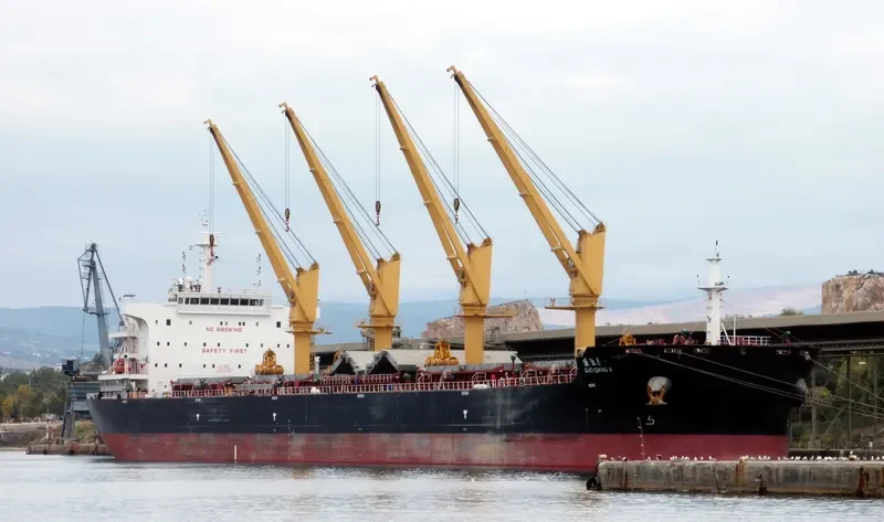 GUO QIANG 8 Bulk Carrier IMO 9722065 photo 6