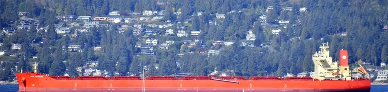 PAN DANGJIN Bulk Carrier IMO 9722118