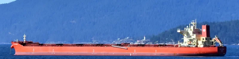 PAN DANGJIN Bulk Carrier IMO 9722118 photo 2