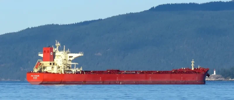 PAN DANGJIN Bulk Carrier IMO 9722118 photo 3