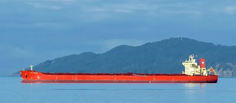 PAN DANGJIN Bulk Carrier IMO 9722118 photo 4