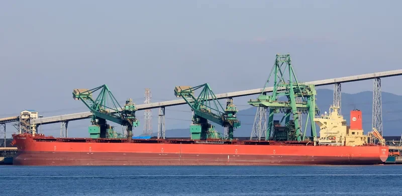 PAN DANGJIN Bulk Carrier IMO 9722118 photo 6