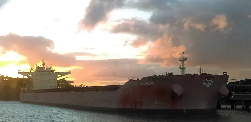 PAN DANGJIN Bulk Carrier IMO 9722118 photo 7