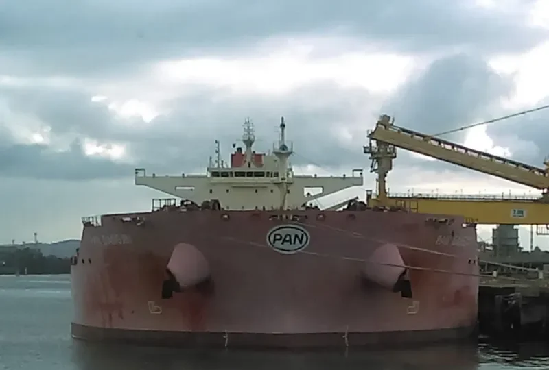 PAN DANGJIN Bulk Carrier IMO 9722118 photo 8