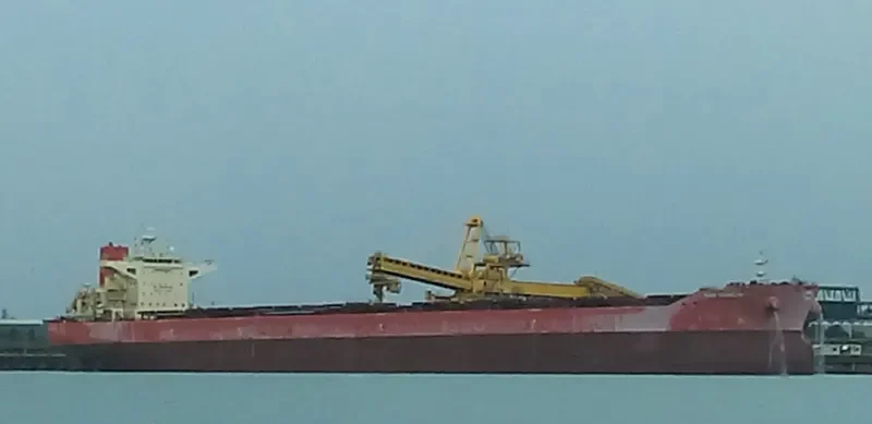 PAN DANGJIN Bulk Carrier IMO 9722118 photo 9