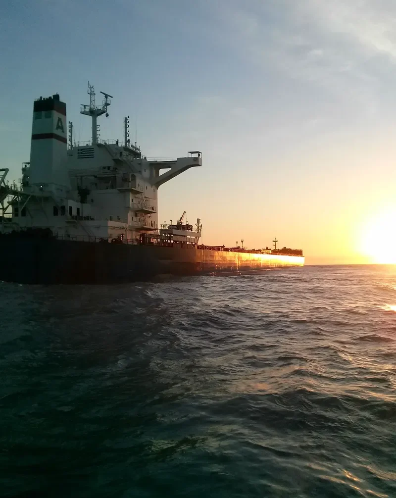 ALPHA FREEDOM Bulk Carrier IMO 9722364