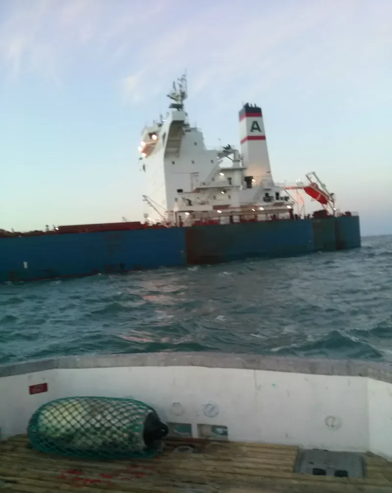 ALPHA FREEDOM Bulk Carrier IMO 9722364 photo 2