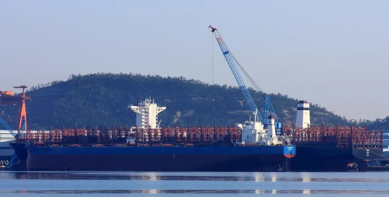 ALPHA FREEDOM Bulk Carrier IMO 9722364 photo 4