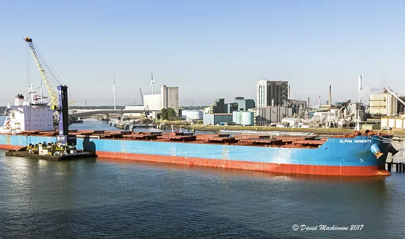ALPHA HONESTY Bulk Carrier IMO 9722376 photo 2