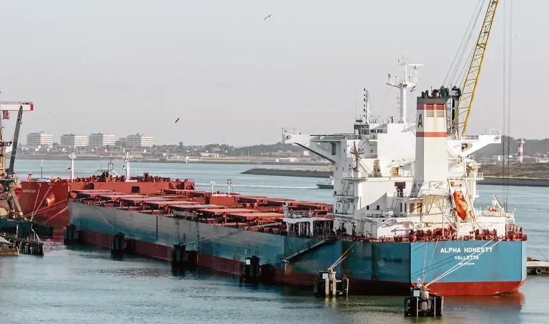 ALPHA HONESTY Bulk Carrier IMO 9722376 photo 3