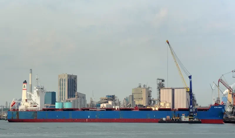 ALPHA HONESTY Bulk Carrier IMO 9722376 photo 4