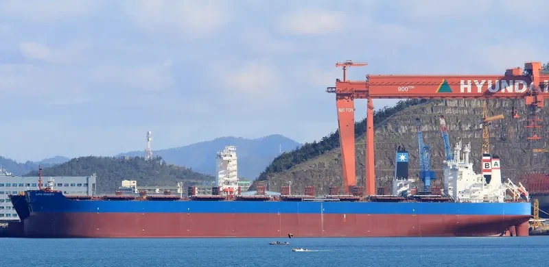 ALPHA HONESTY Bulk Carrier IMO 9722376 photo 6