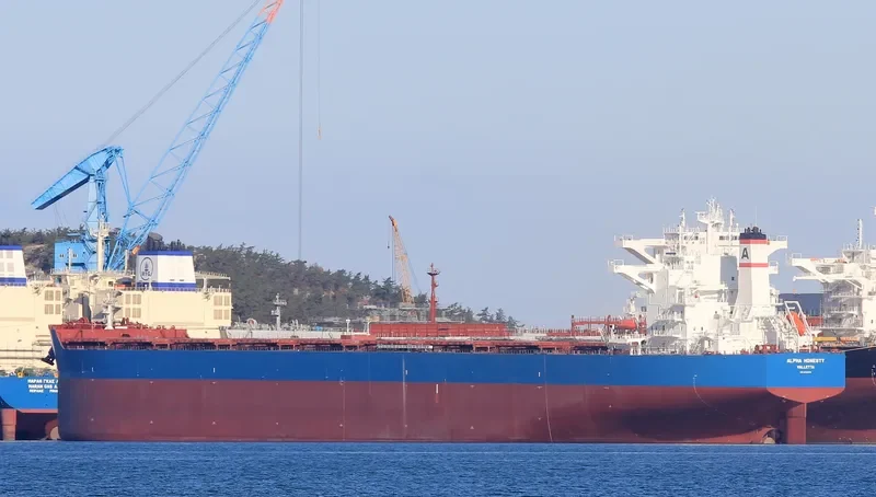 ALPHA HONESTY Bulk Carrier IMO 9722376 photo 7