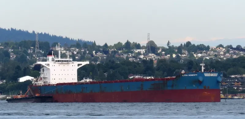 ALPHA HONESTY Bulk Carrier IMO 9722376 photo 9