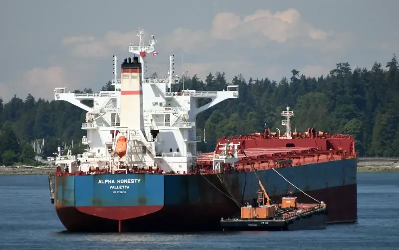 ALPHA HONESTY Bulk Carrier IMO 9722376 photo 10