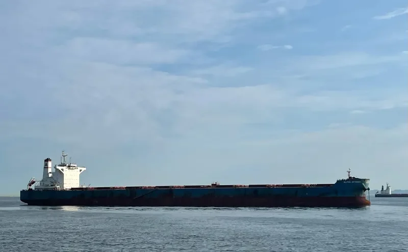 ALPHA OPTIMISM Bulk Carrier IMO 9722388 photo 2