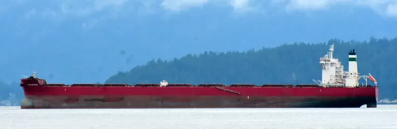 GOLDEN BEHIKE Bulk Carrier IMO 9722417