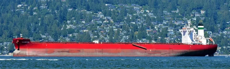 GOLDEN BEHIKE Bulk Carrier IMO 9722417 photo 4