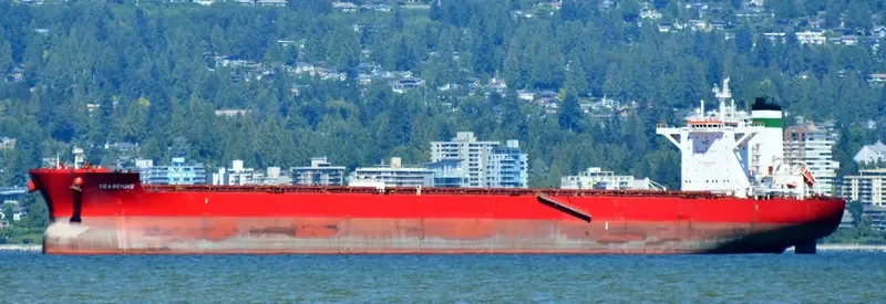 GOLDEN BEHIKE Bulk Carrier IMO 9722417 photo 5