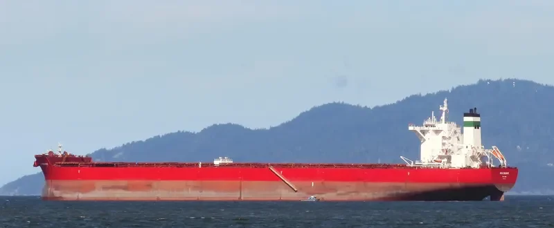 GOLDEN BEHIKE Bulk Carrier IMO 9722417 photo 7