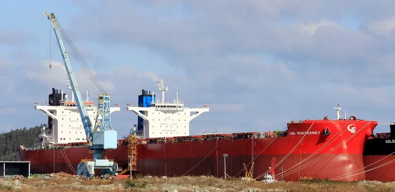 GOLDEN MONTERREY Bulk Carrier IMO 9722429