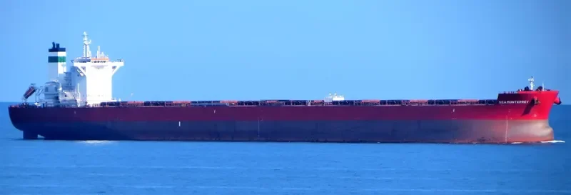GOLDEN MONTERREY Bulk Carrier IMO 9722429 photo 2
