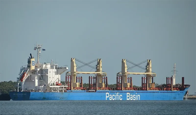 IMPRESSION BAY Bulk Carrier IMO 9722431 photo 3