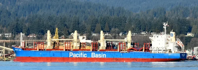 INDIGO LAKE Bulk Carrier IMO 9722443 photo 3