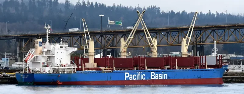 INDIGO LAKE Bulk Carrier IMO 9722443 photo 5