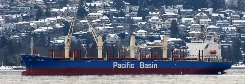 IYO SEA Bulk Carrier IMO 9722455