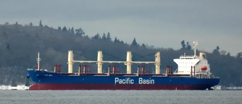 IYO SEA Bulk Carrier IMO 9722455 photo 3