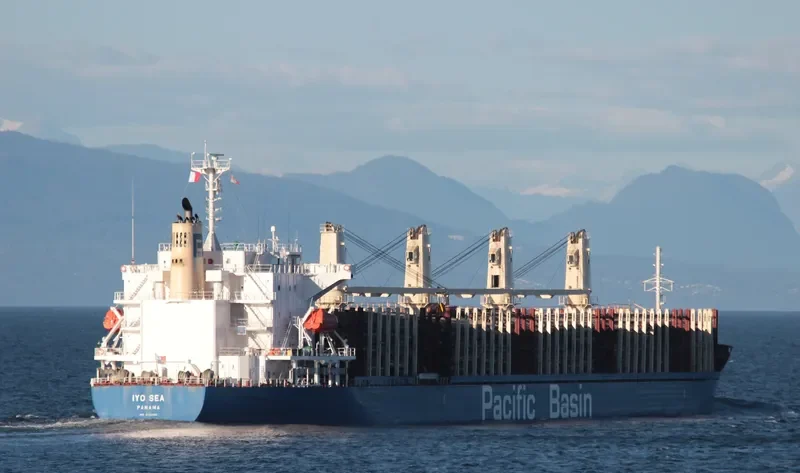 IYO SEA Bulk Carrier IMO 9722455 photo 4