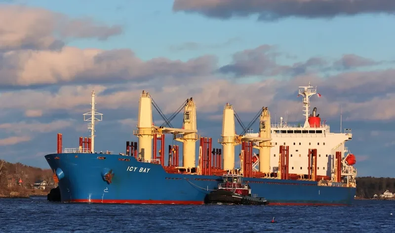 ICY BAY Bulk Carrier IMO 9722467 photo 2
