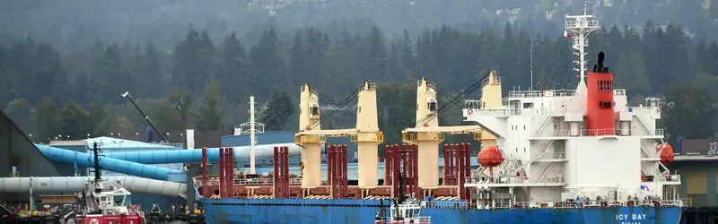 ICY BAY Bulk Carrier IMO 9722467 photo 10