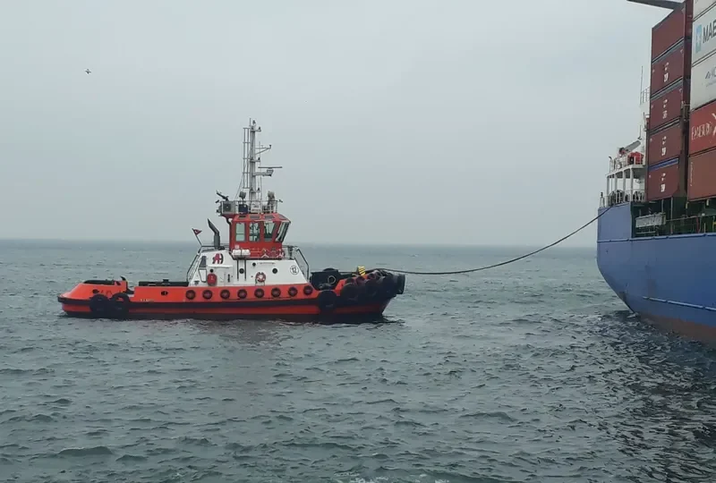 ARPAS XII General Cargo IMO 9722572 photo 4