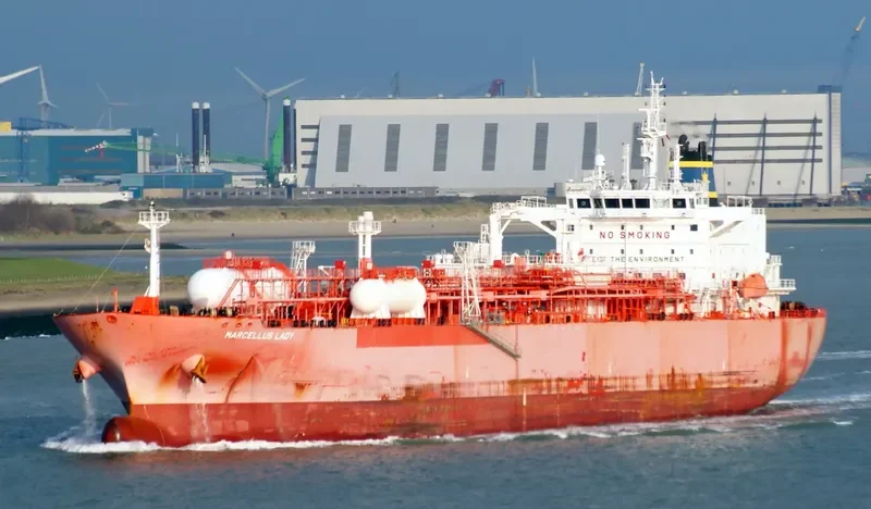 MARCELLUS LADY General Cargo IMO 9722780 photo 2