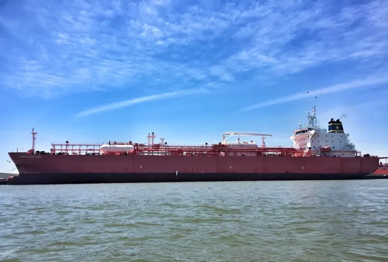 MARCELLUS LADY General Cargo IMO 9722780 photo 7