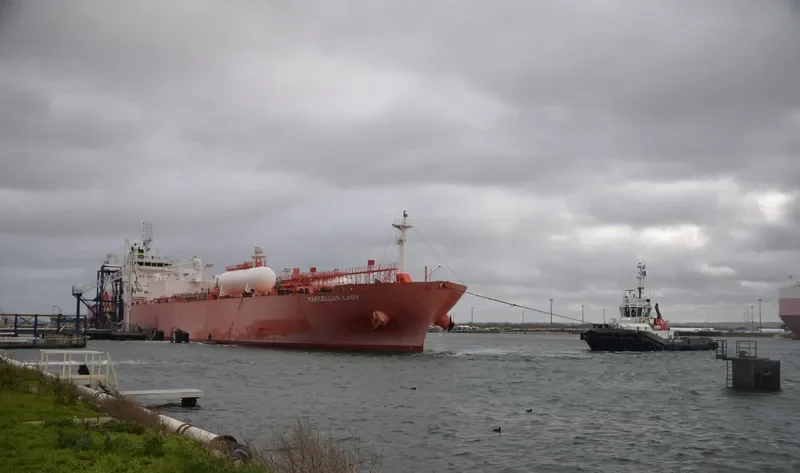 MARCELLUS LADY General Cargo IMO 9722780 photo 8