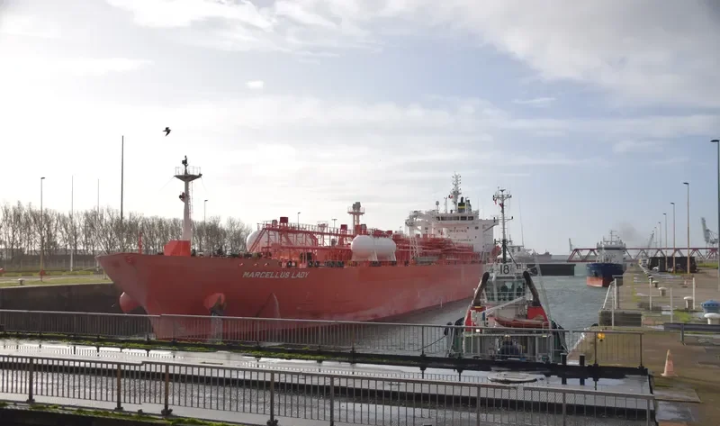 MARCELLUS LADY General Cargo IMO 9722780 photo 10