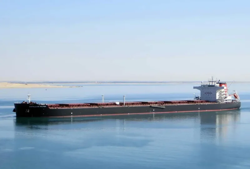 CASTILLO DE MALPICA Bulk Carrier IMO 9722962 photo 6