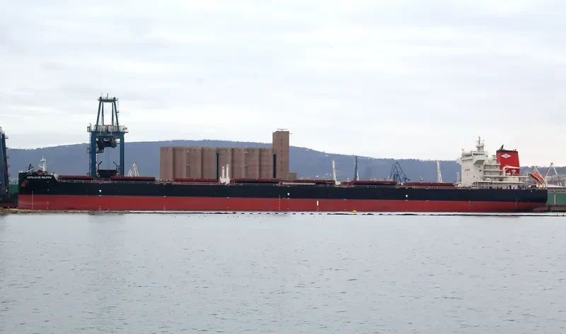 CASTILLO DE MALPICA Bulk Carrier IMO 9722962 photo 8